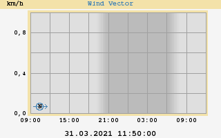 Wind Vector